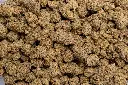 Habibi Indoor (CBD)
