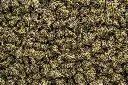 Hood Candy Indoor Smalls